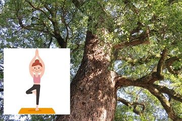 木のポーズ　イラスト