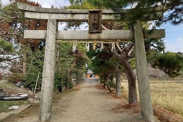 菌神社鳥居