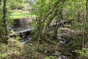希望が丘公園　森と水の道