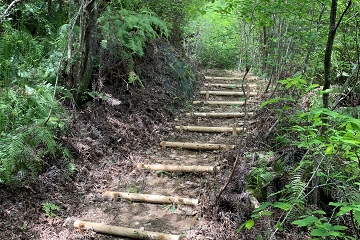 希望が丘公園　見晴らしの道