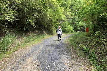 希望が丘公園　キャンプ場