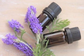 ラベンダー　写真