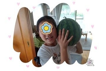 スイカ　写真