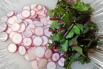 日野菜　輪切り