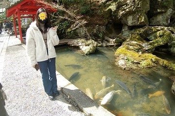 入口の鯉　石山寺