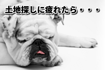 土地探し　疲れ　妥協　