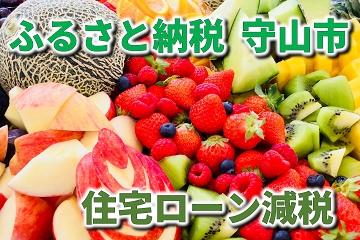 守山市　ふるさと納税　住宅ローン減税
