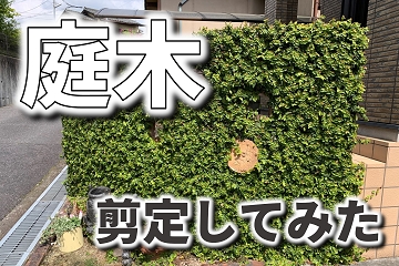 庭木　剪定　植栽