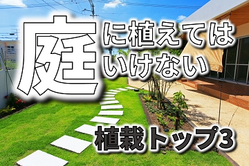 庭　植栽　植えてはいけないトップ３
