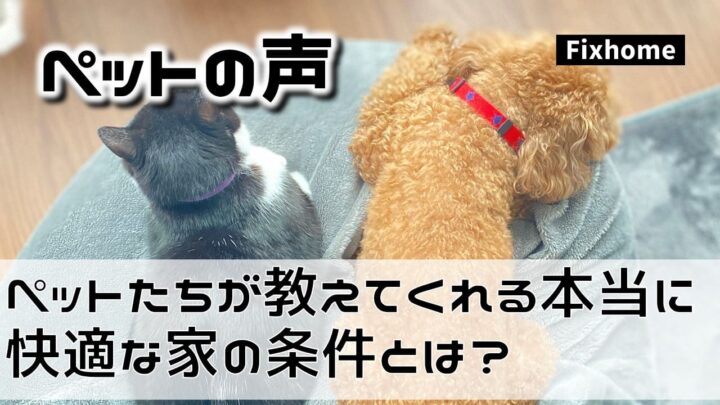 ペットたちが教えてくれる本当に快適な家の条件とは？